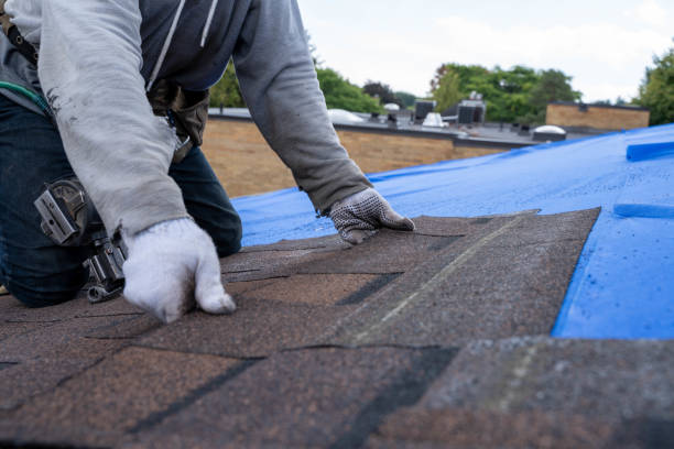 Best Storm Damage Roof Repair  in Saugerties South, NY