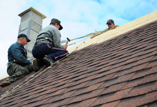 Quick and Trustworthy Emergency Roof Repair Services in Saugerties South, NY